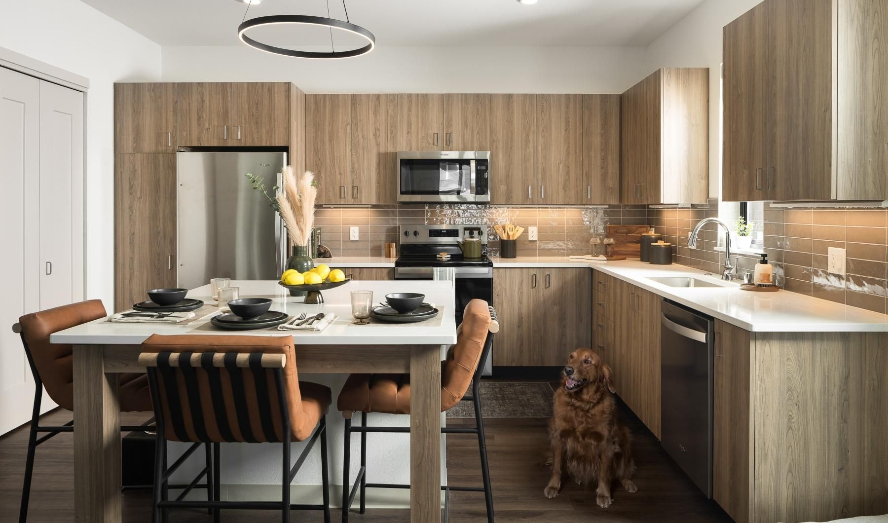 a dog sitting  near a table in a kitchen