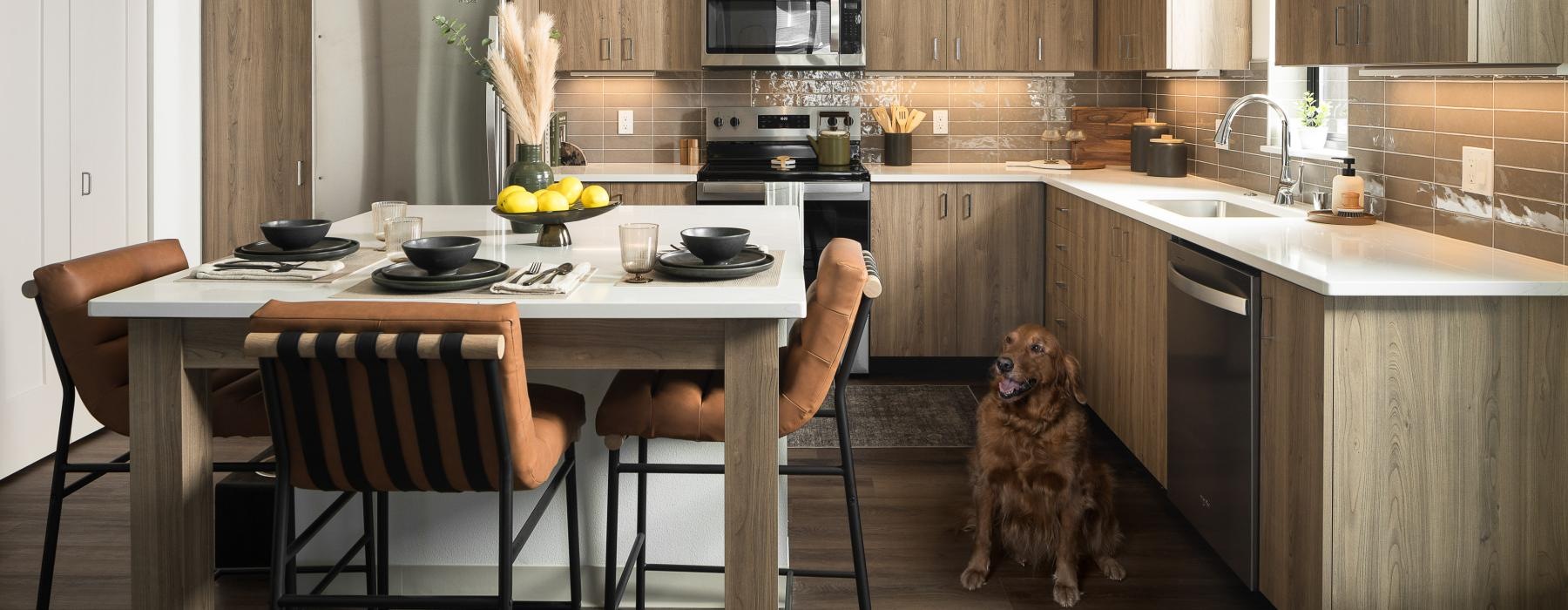 a dog sitting  near a table in a kitchen